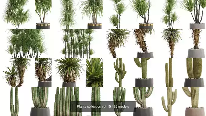 Plants collection vol 15