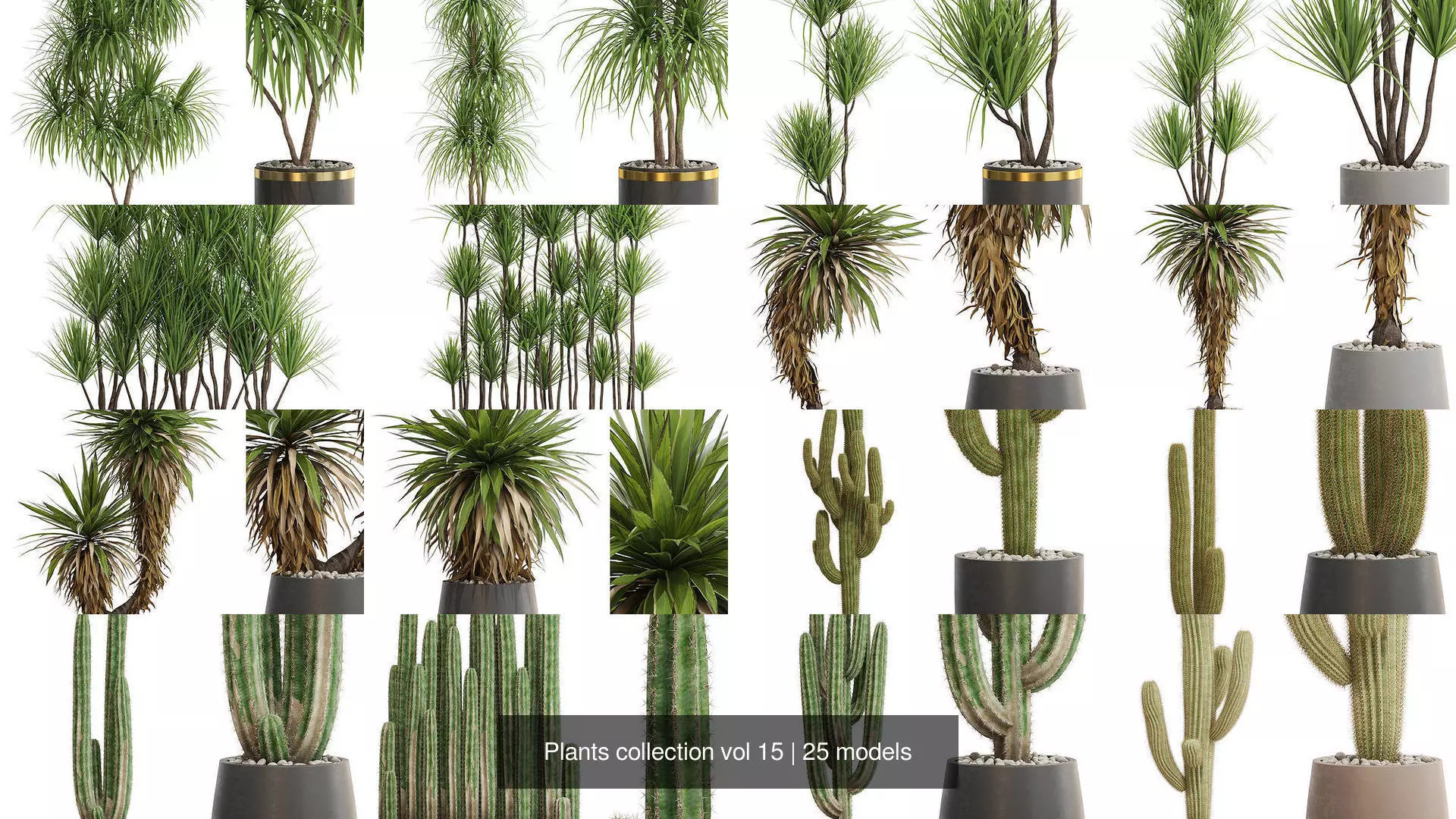Plants collection vol 15 _1