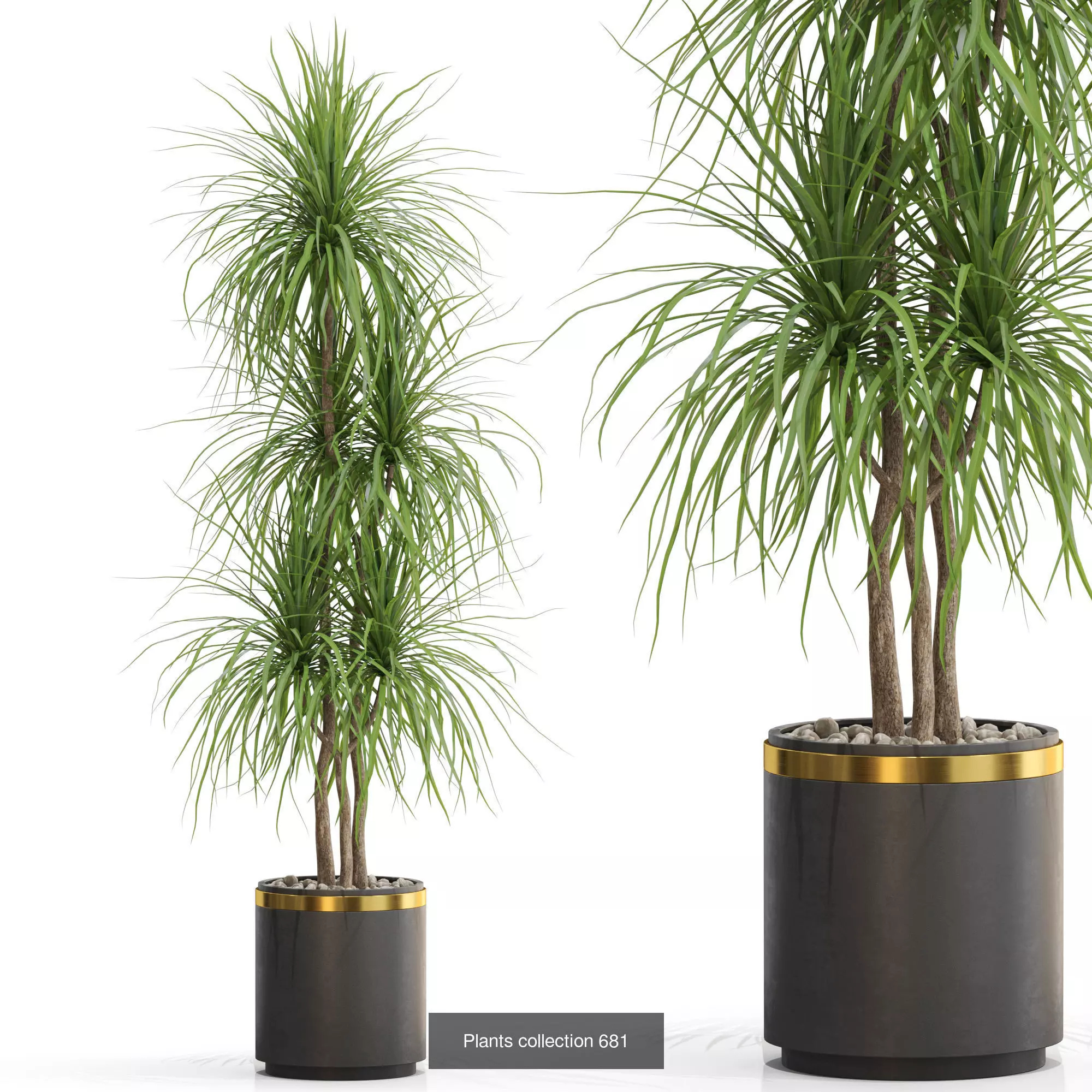 Plants collection vol 15 _4