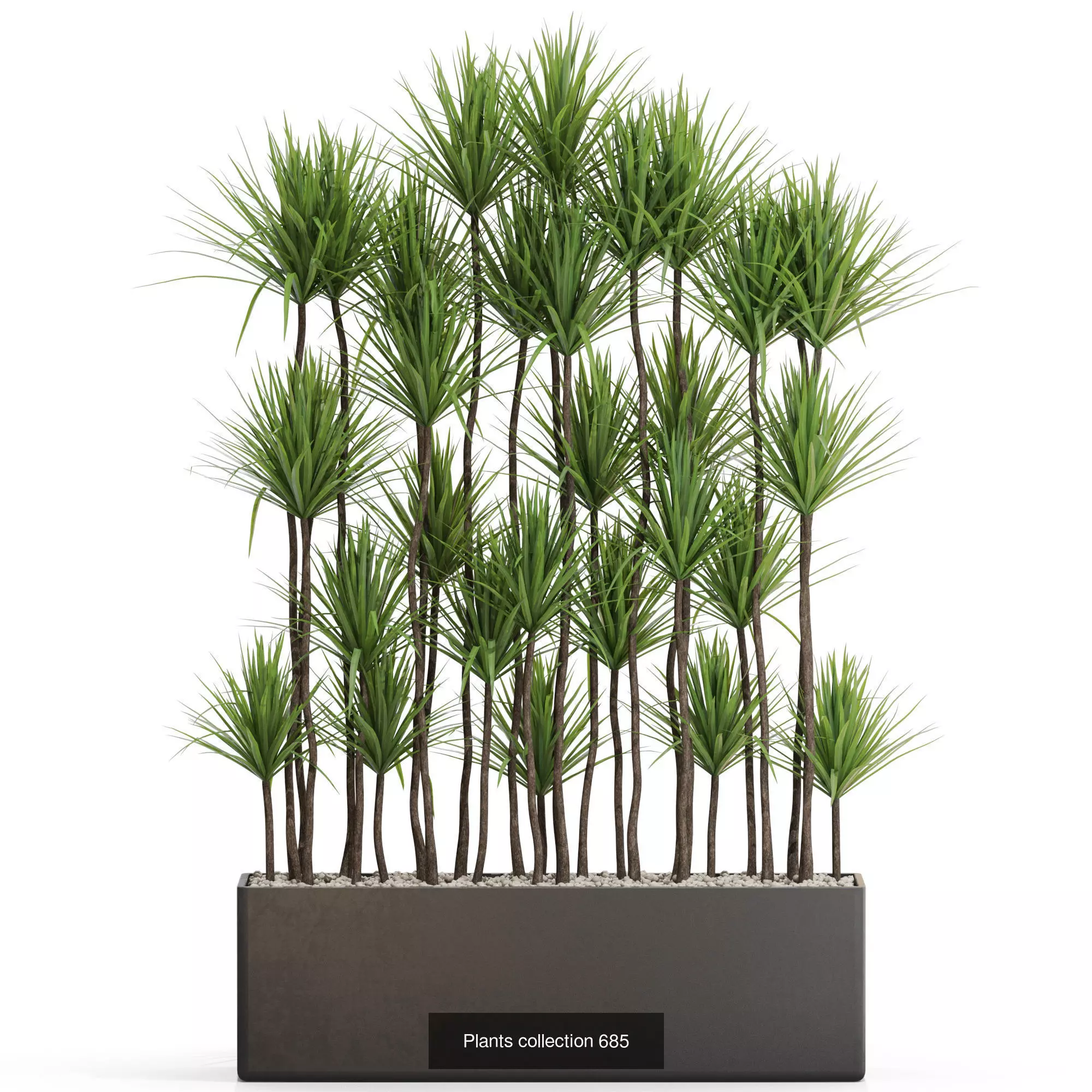 Plants collection vol 15 _8