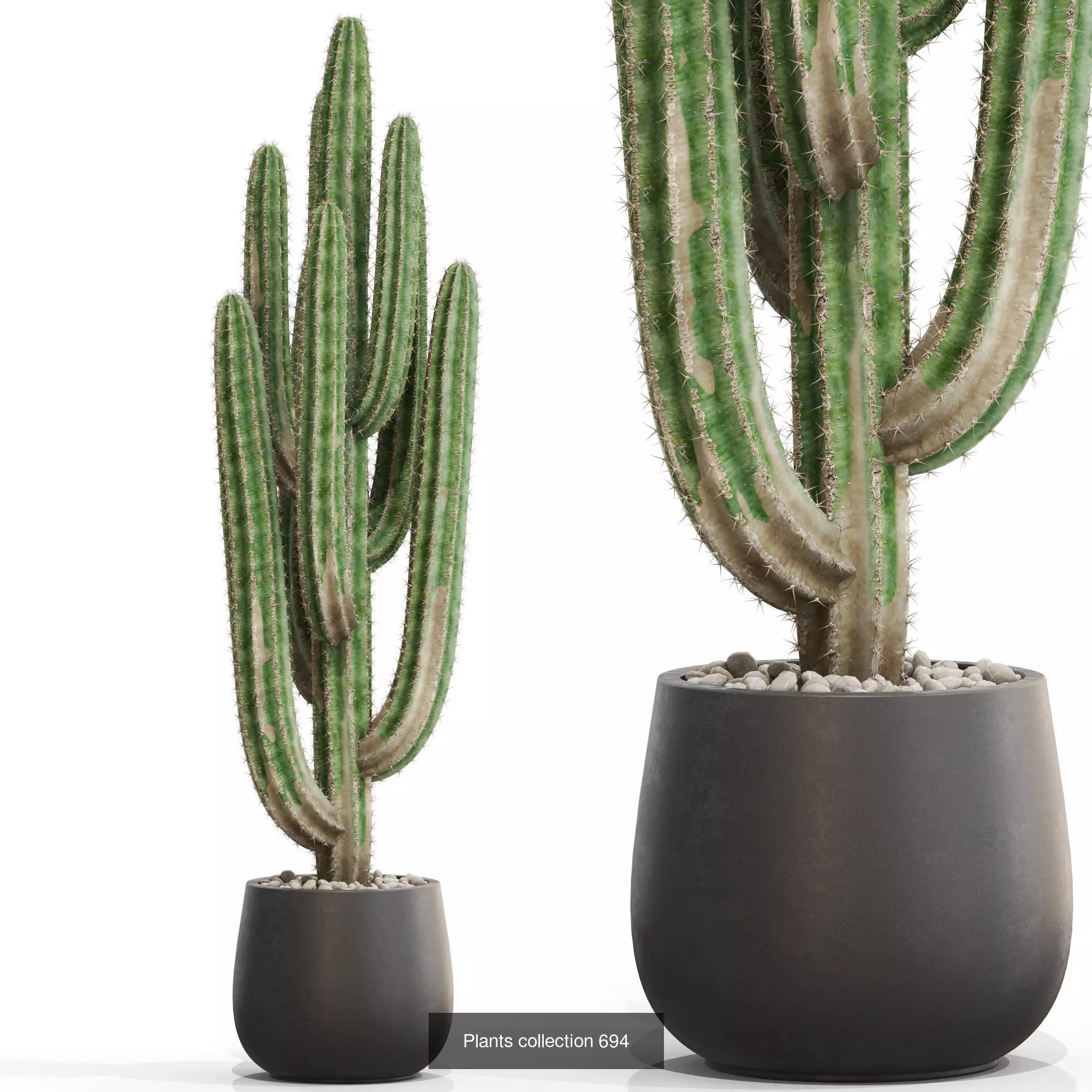 Plants collection vol 15 _17