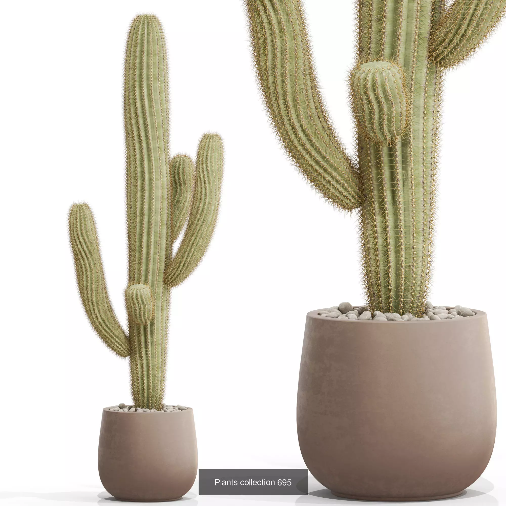 Plants collection vol 15 _18