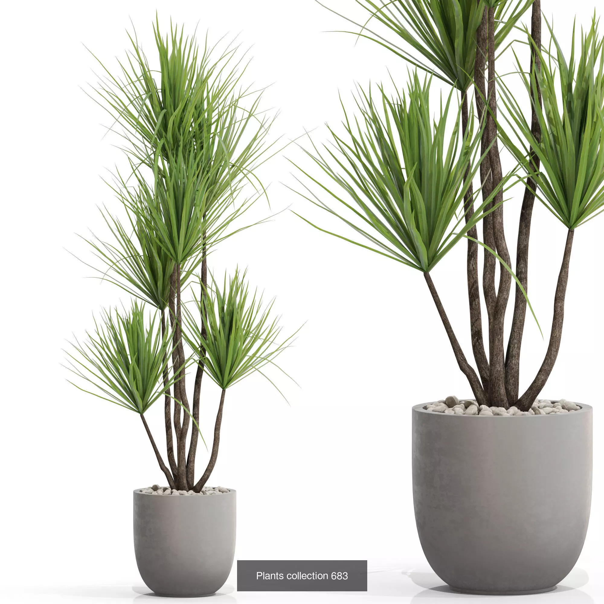 Plants collection vol 15 _6