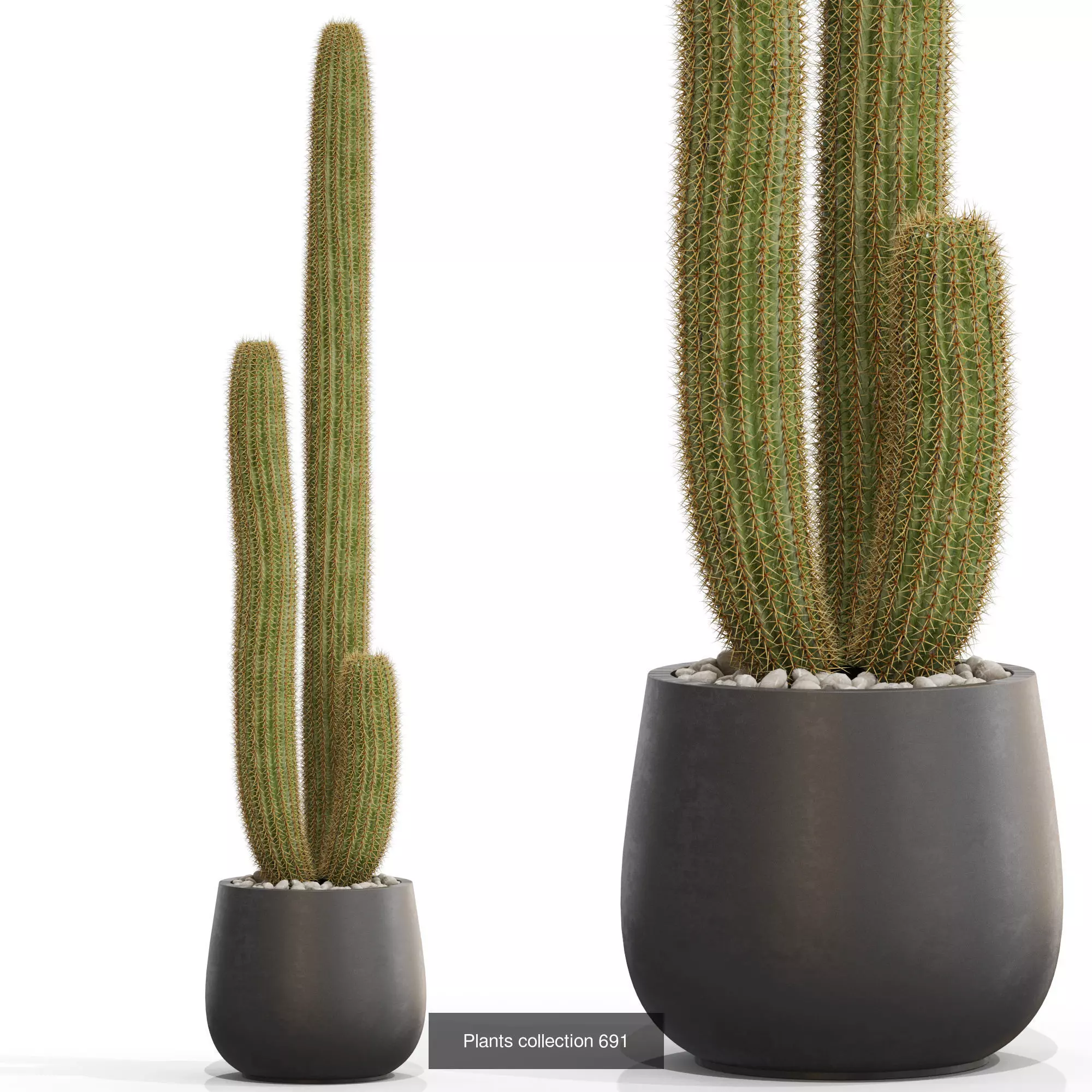 Plants collection vol 15 _14