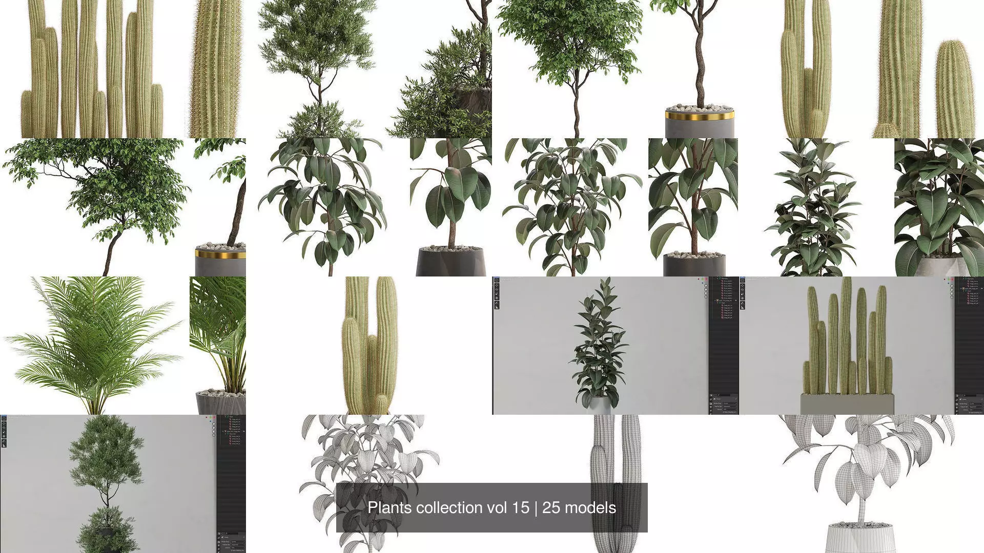 Plants collection vol 15 _2