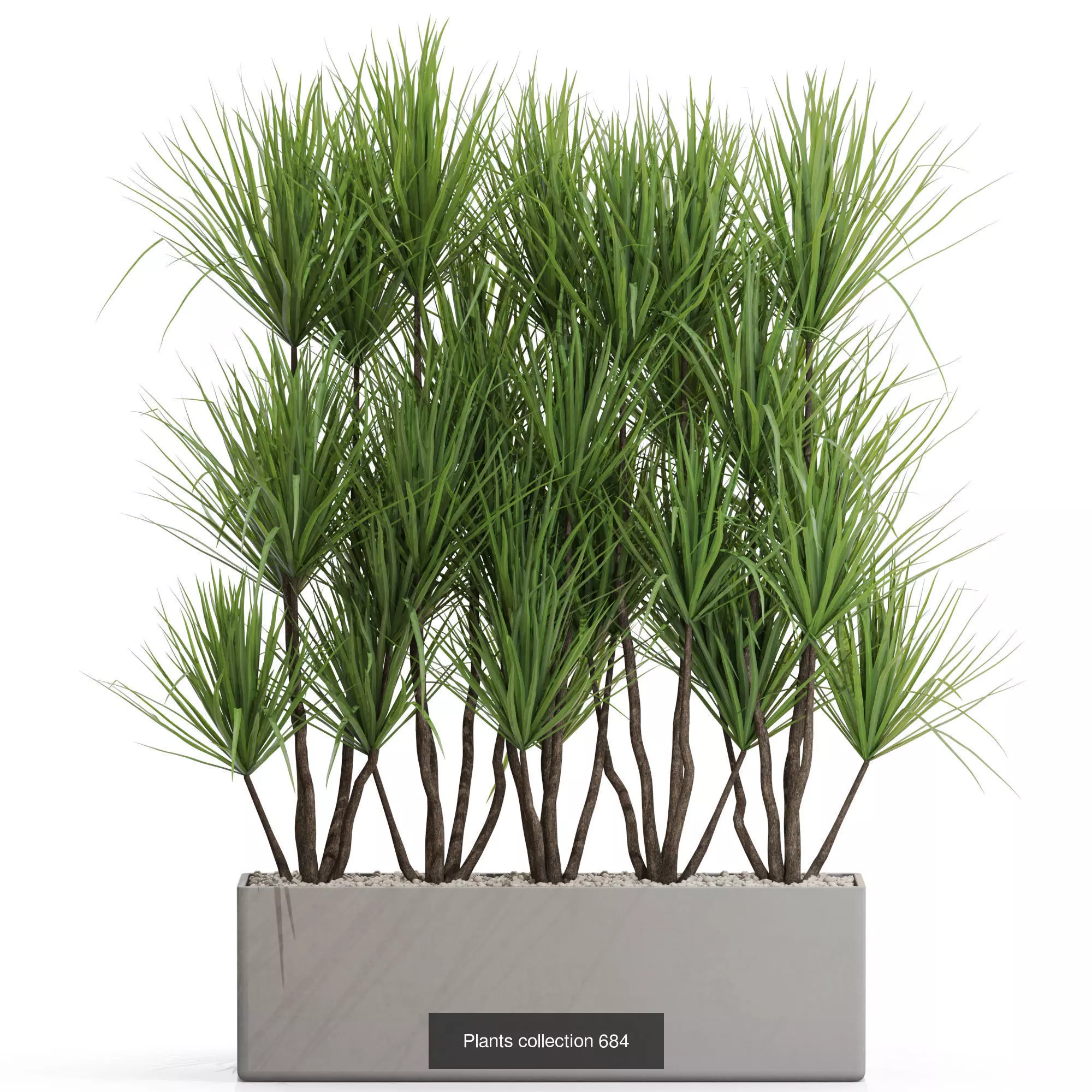 Plants collection vol 15 _7