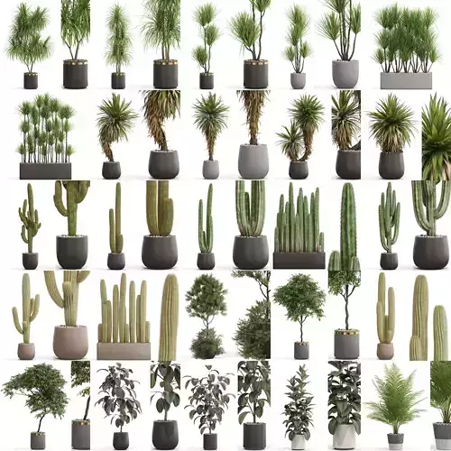 Plants collection vol 15 