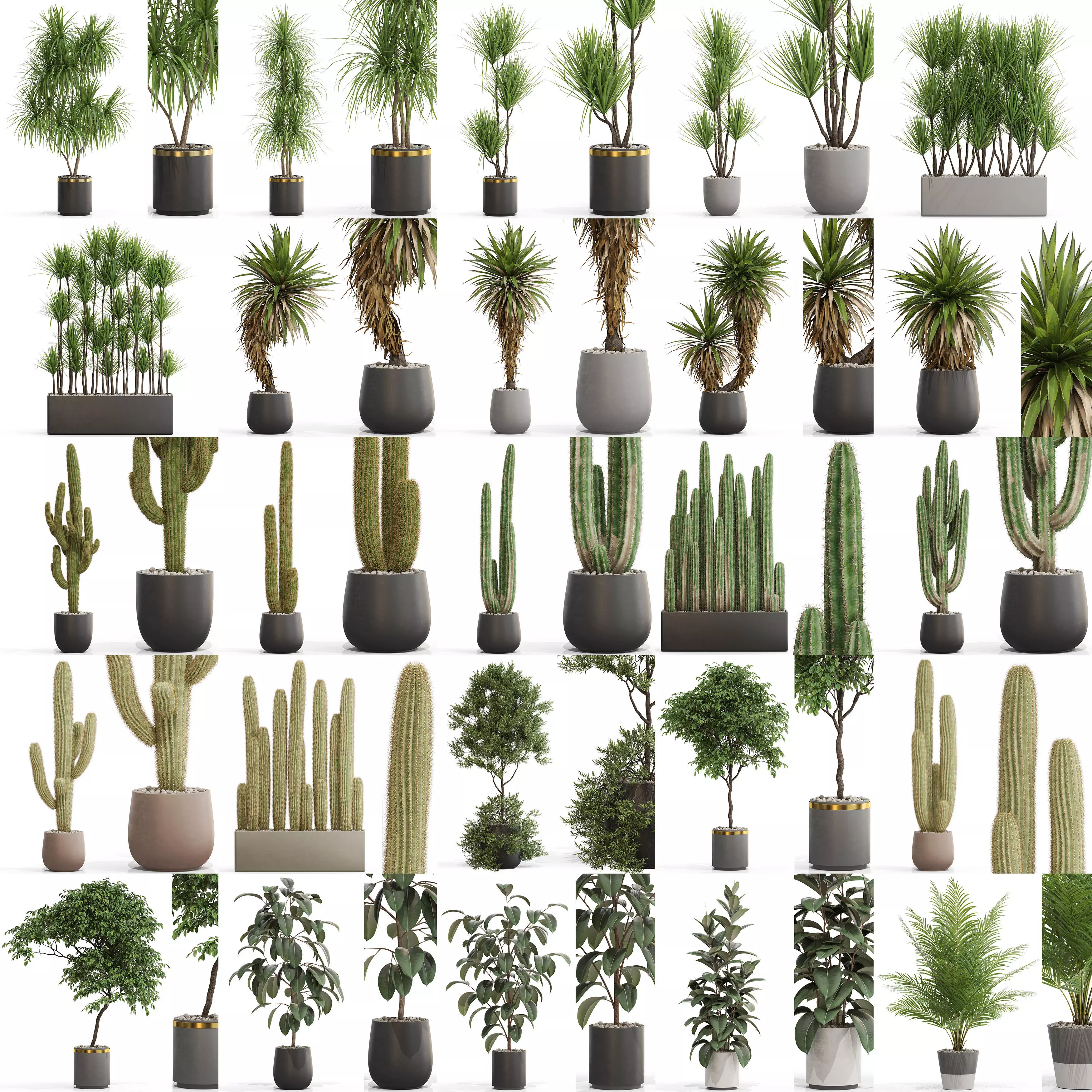 Plants collection vol 15 _0