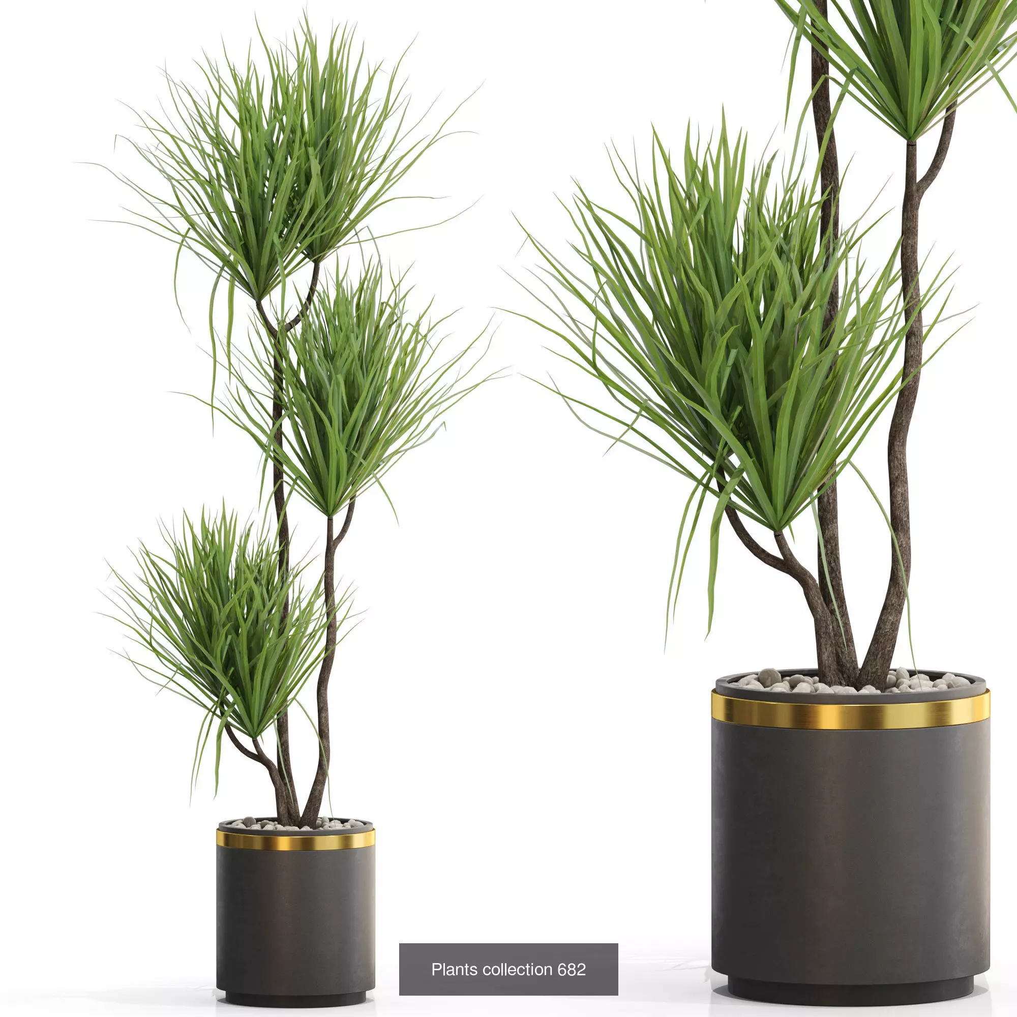Plants collection vol 15 _5