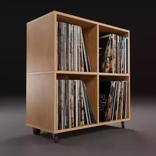 Vinyl Storage No38
