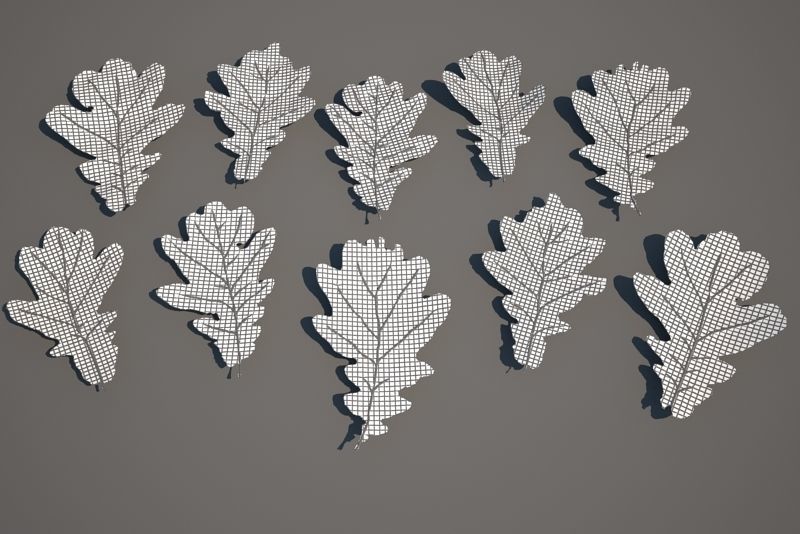 Leaf Collection two maple leaves 3D model_12