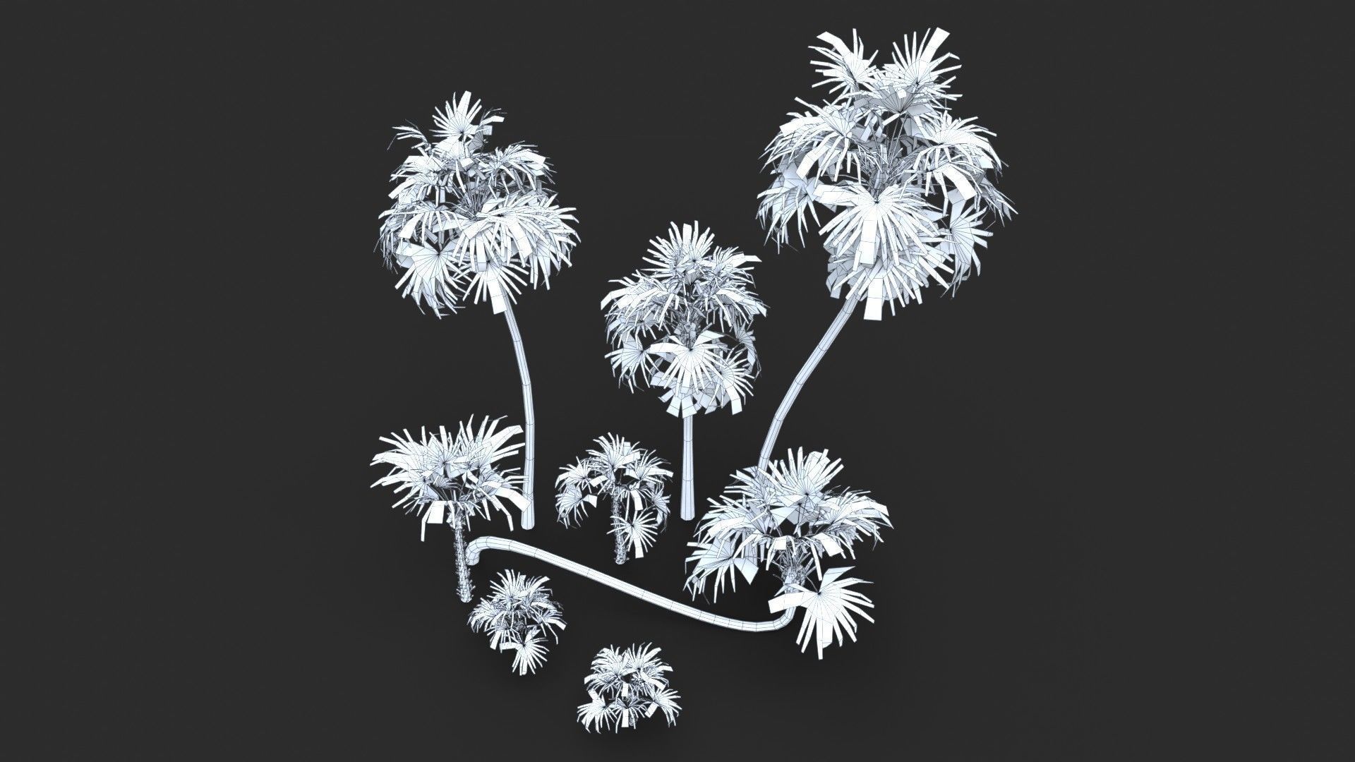 Modular Green Thatch Palm Tree - Thrinax Radiata Low-poly 3D model_23