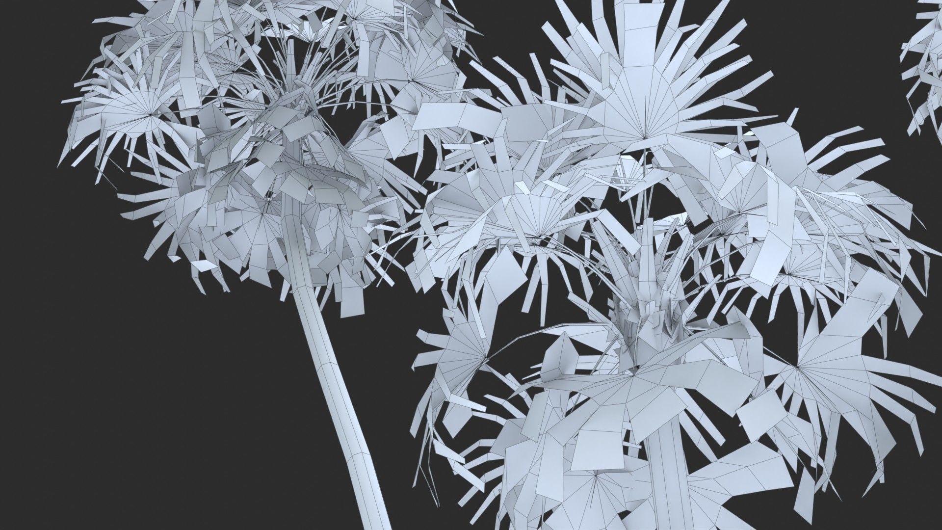 Modular Green Thatch Palm Tree - Thrinax Radiata Low-poly 3D model_21
