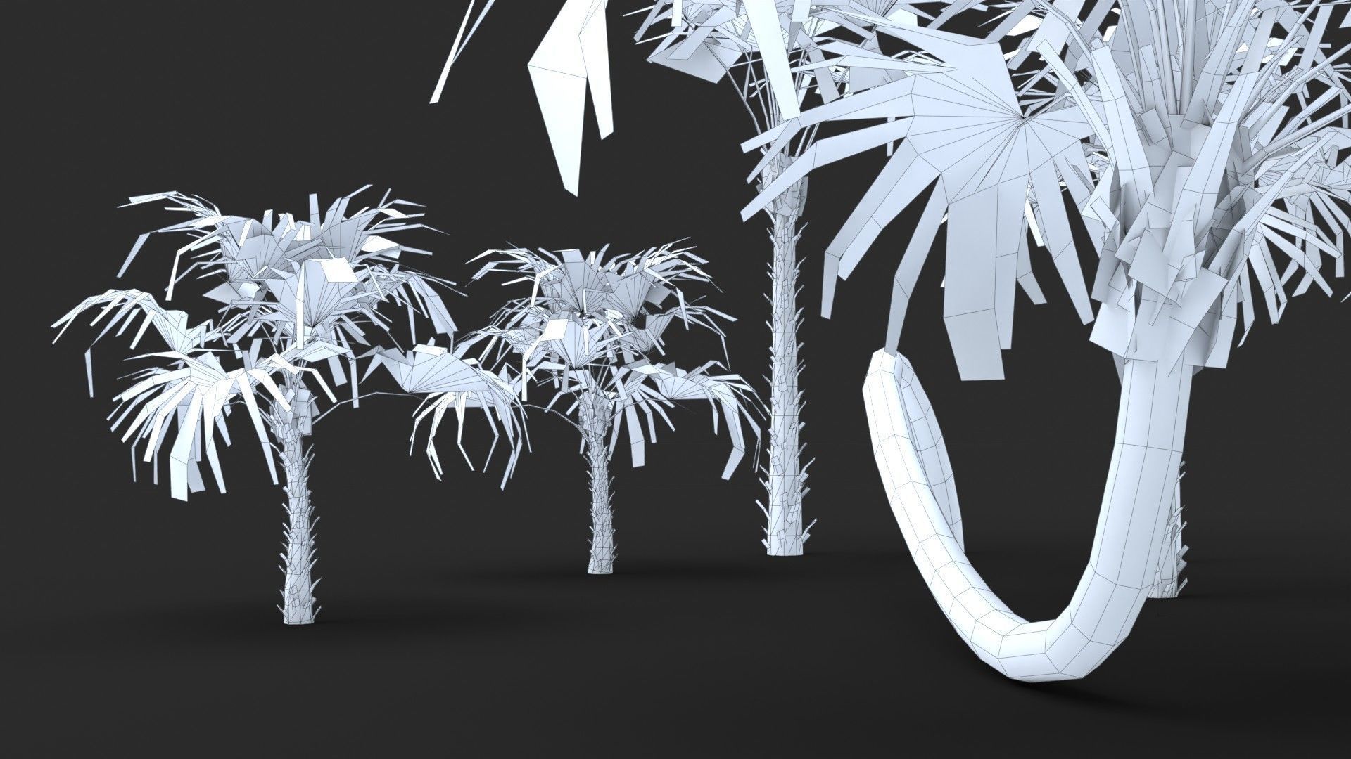 Modular Green Thatch Palm Tree - Thrinax Radiata Low-poly 3D model_20