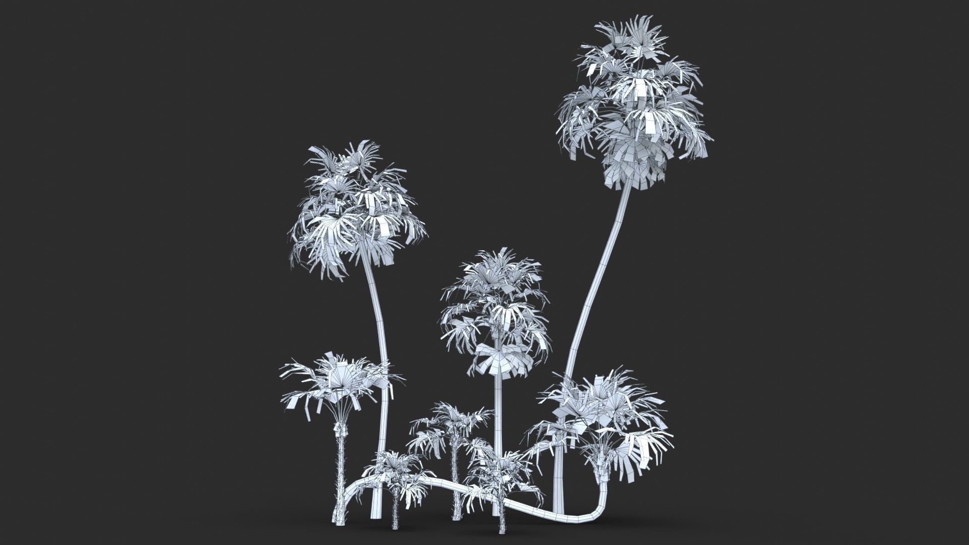Modular Green Thatch Palm Tree - Thrinax Radiata Low-poly 3D model_15
