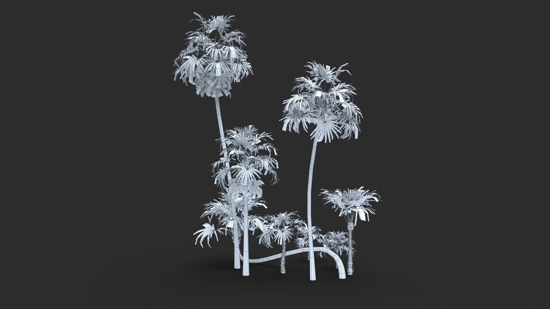 Modular Green Thatch Palm Tree - Thrinax Radiata Low-poly 3D model_18