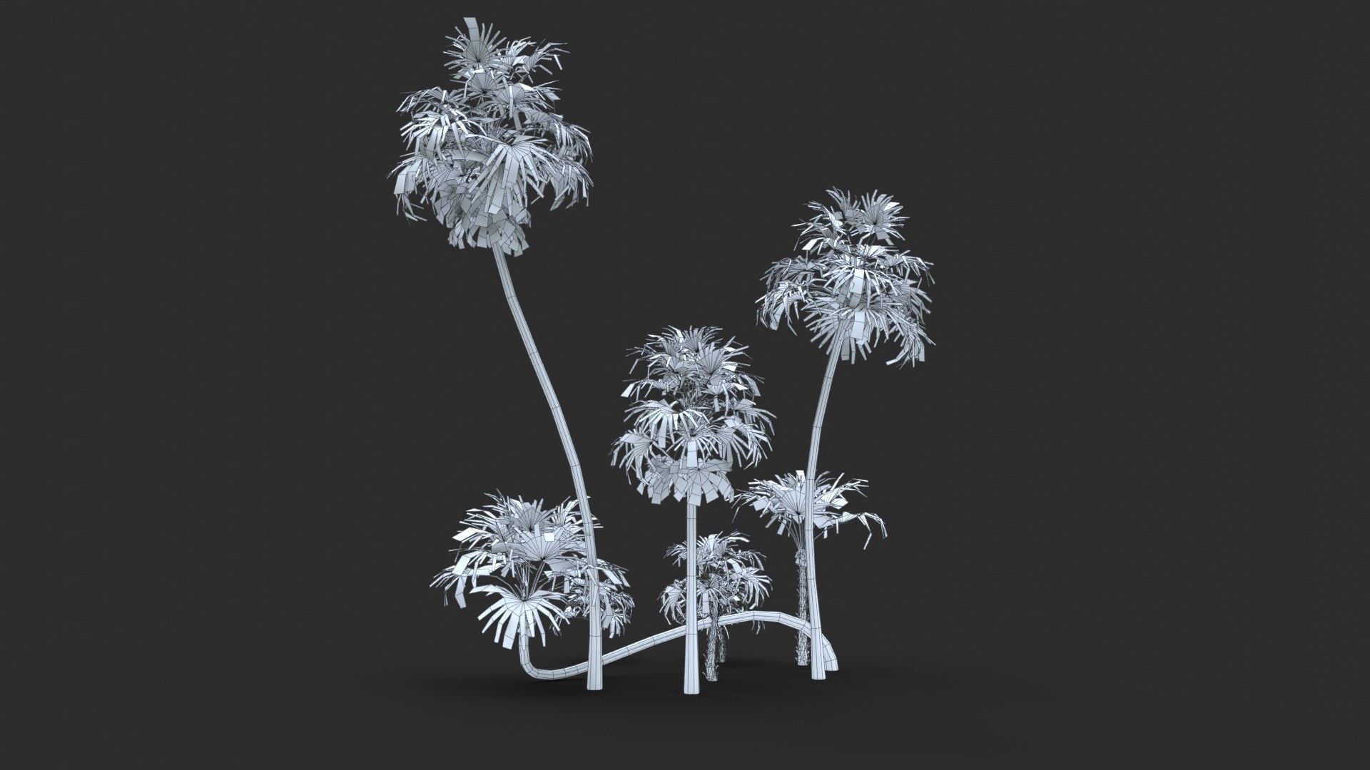 Modular Green Thatch Palm Tree - Thrinax Radiata Low-poly 3D model_17