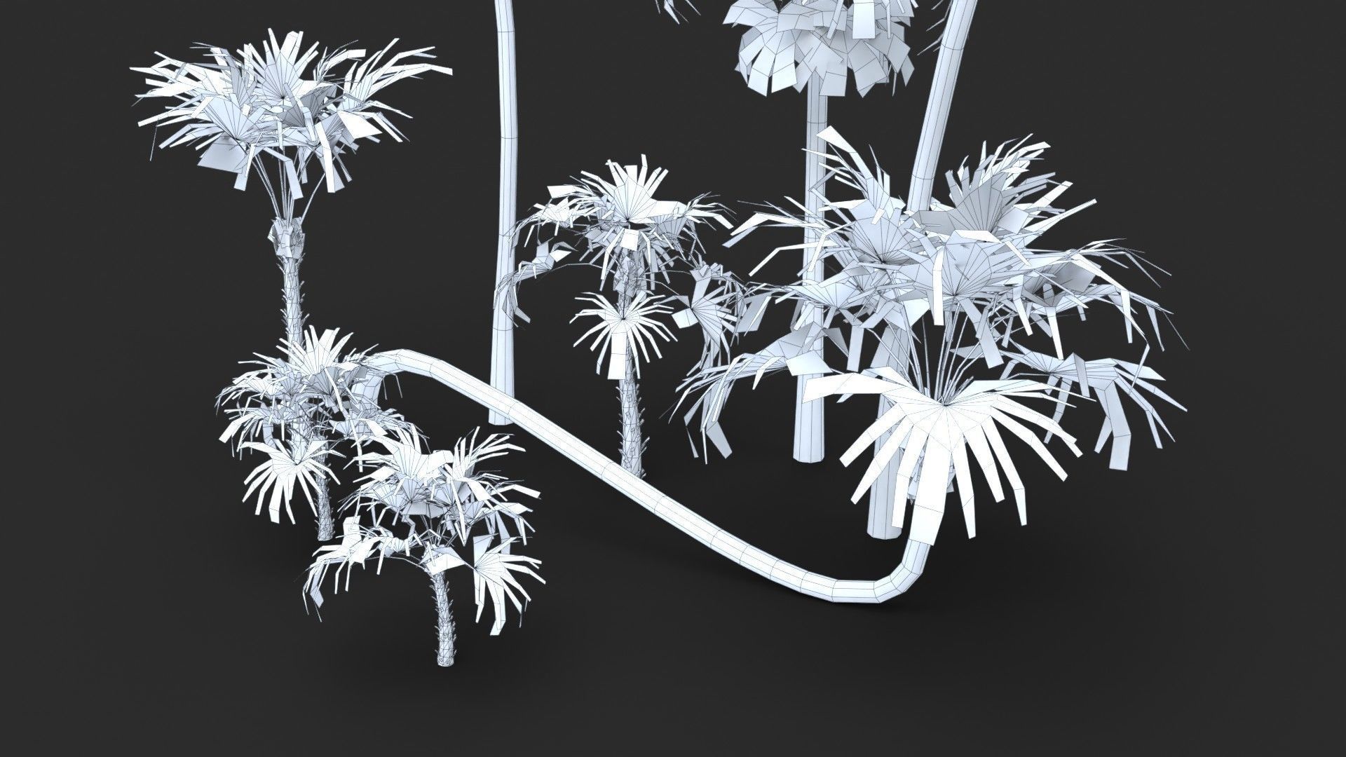 Modular Green Thatch Palm Tree - Thrinax Radiata Low-poly 3D model_22