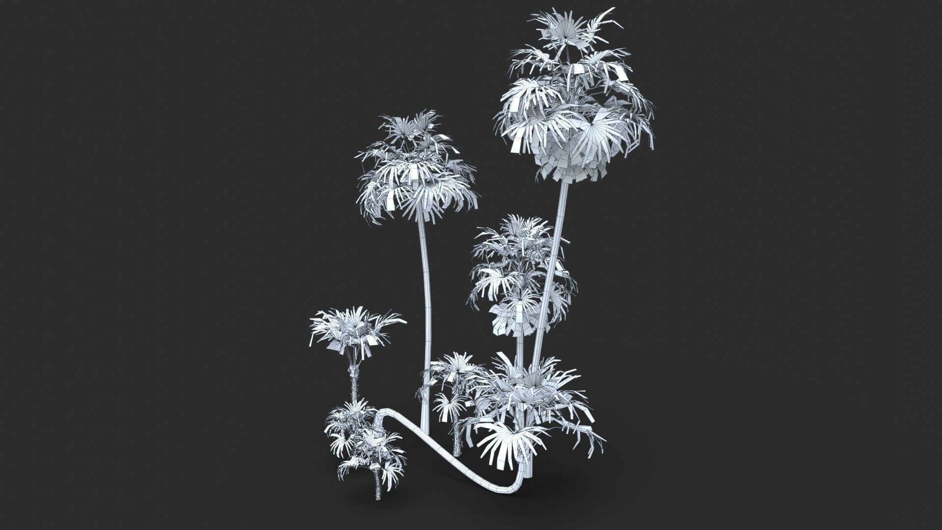 Modular Green Thatch Palm Tree - Thrinax Radiata Low-poly 3D model_16