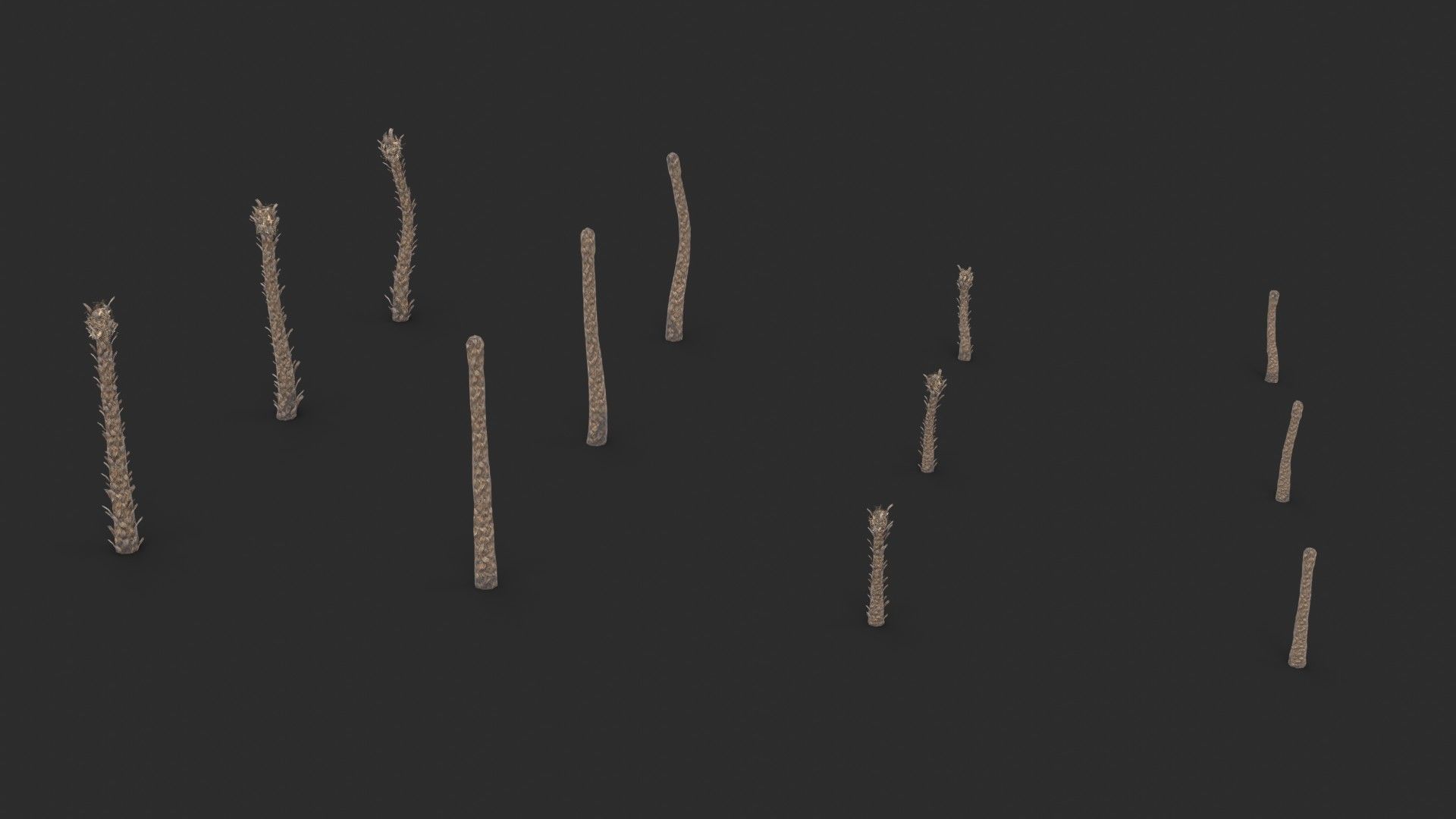 Modular Green Thatch Palm Tree - Thrinax Radiata Low-poly 3D model_11