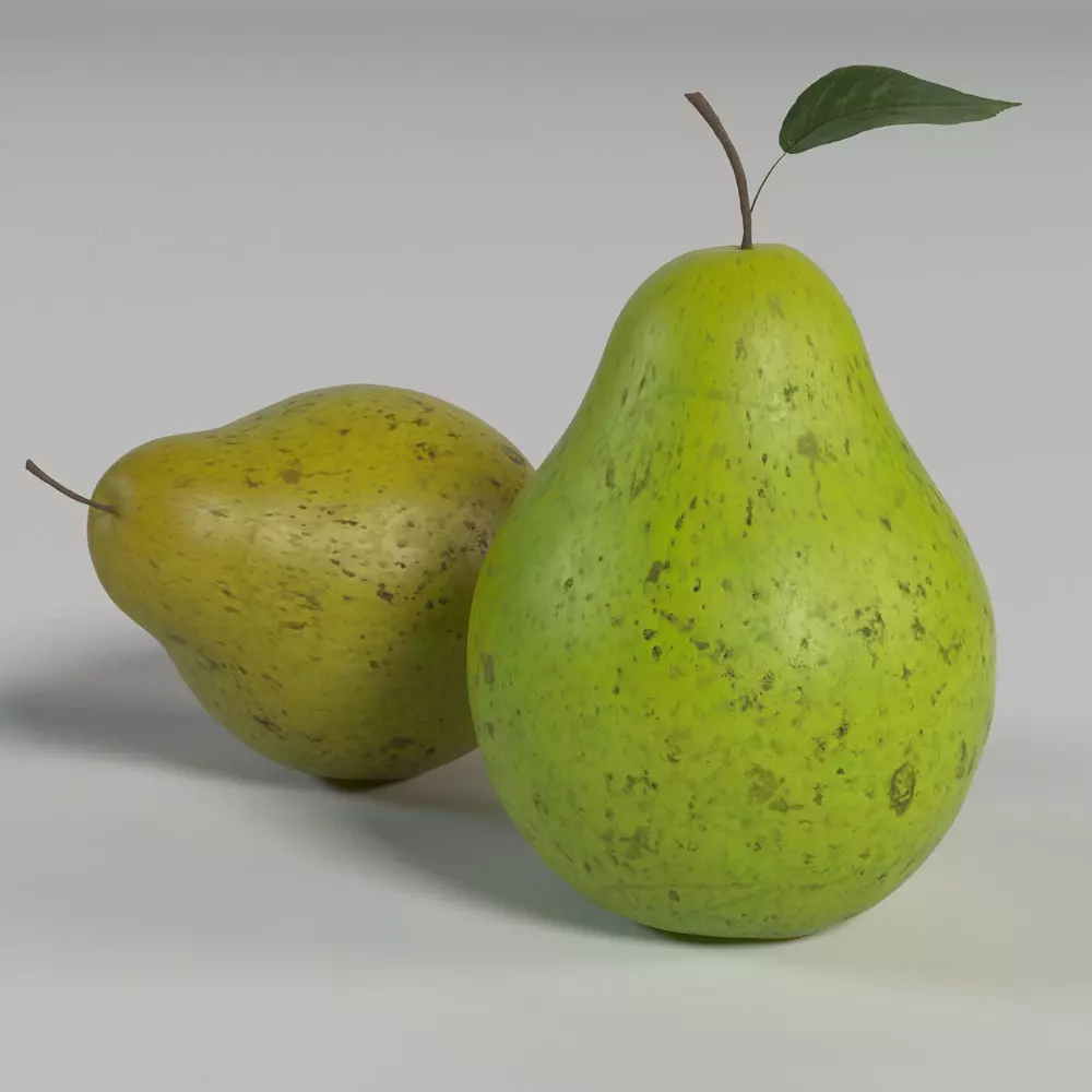 Pear 1 two pears 3D model_0