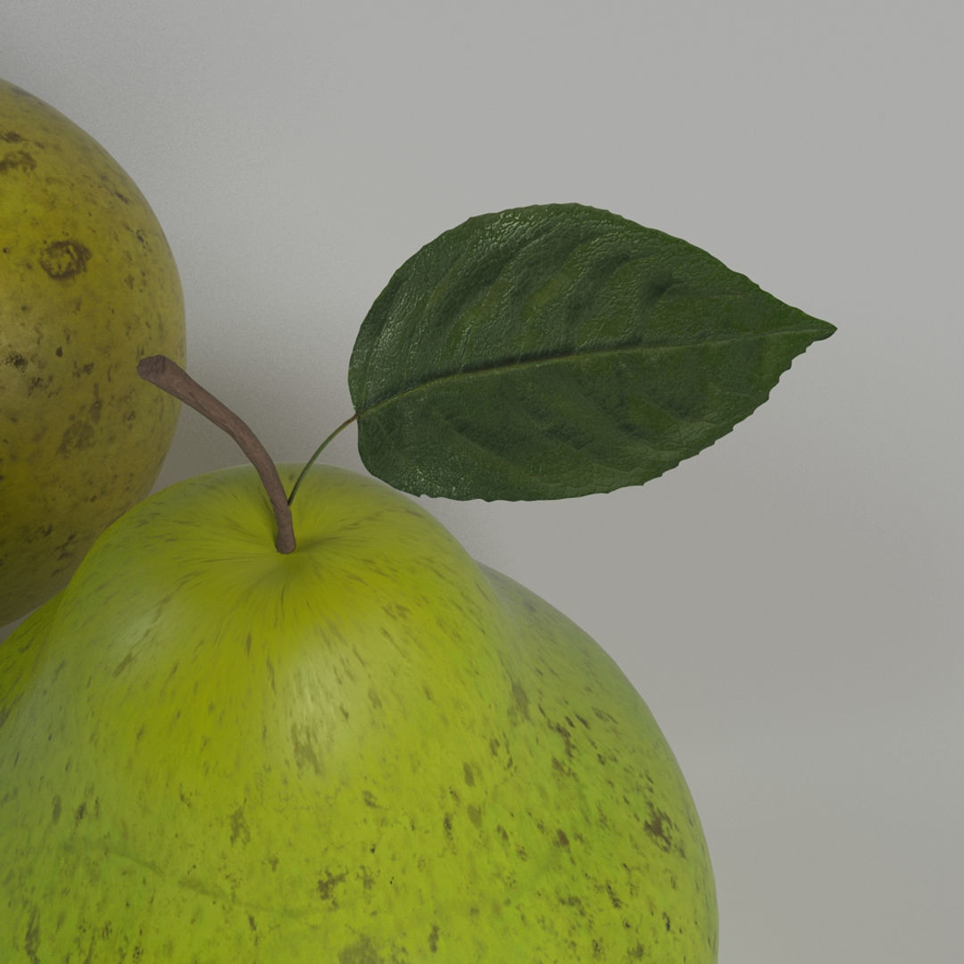 Pear 1 two pears 3D model_8