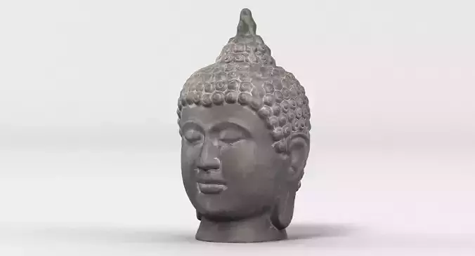 Buddha Head Statue 2