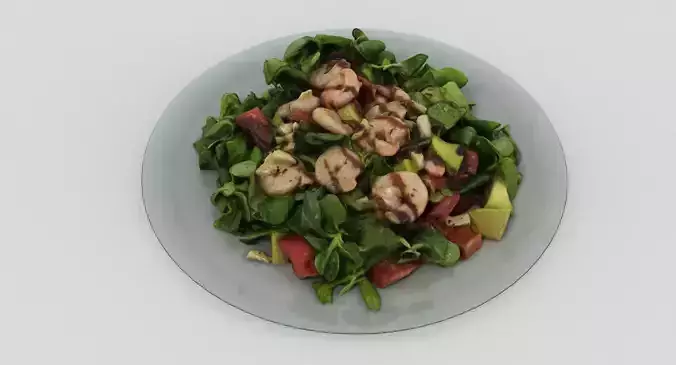 Prawn Salad 3D model