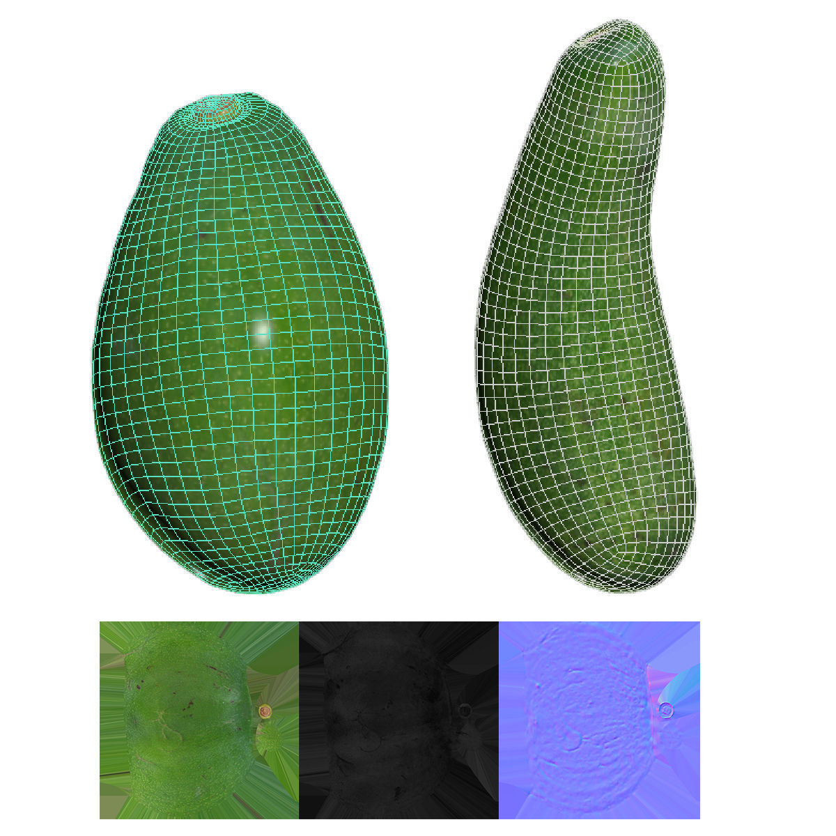 avocado two papayas 3D model_4