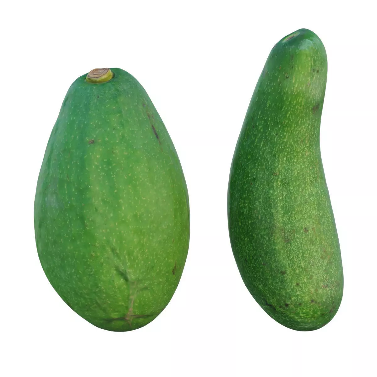 avocado two papayas 3D model_0