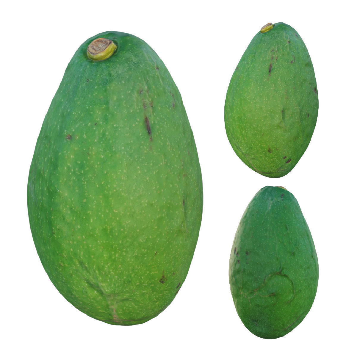 avocado two papayas 3D model_1