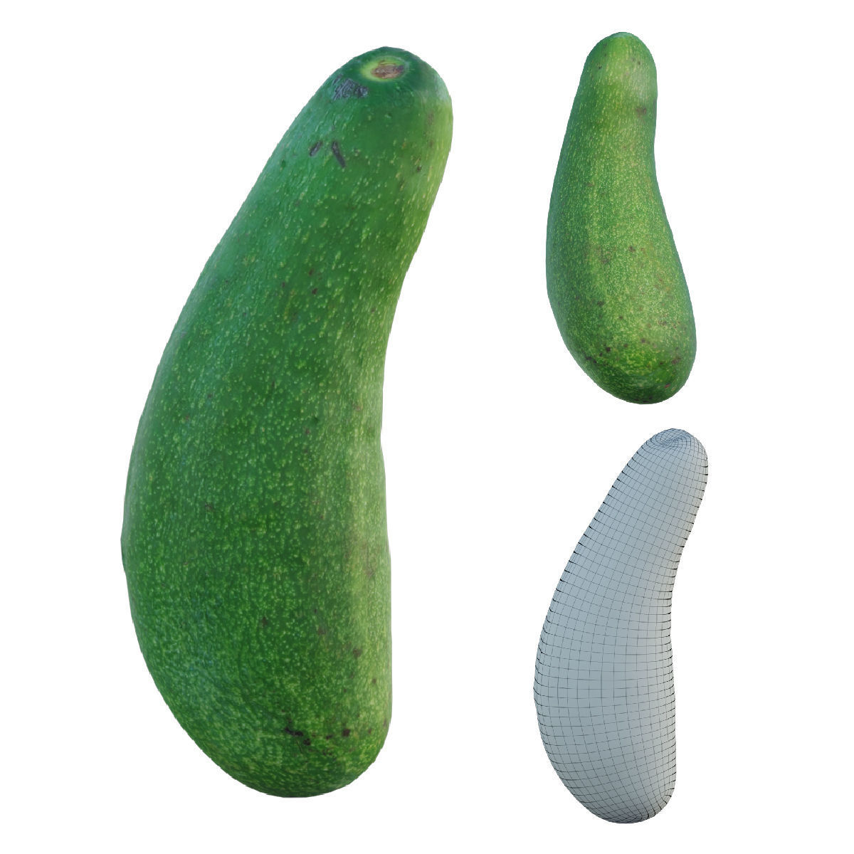 avocado two papayas 3D model_2