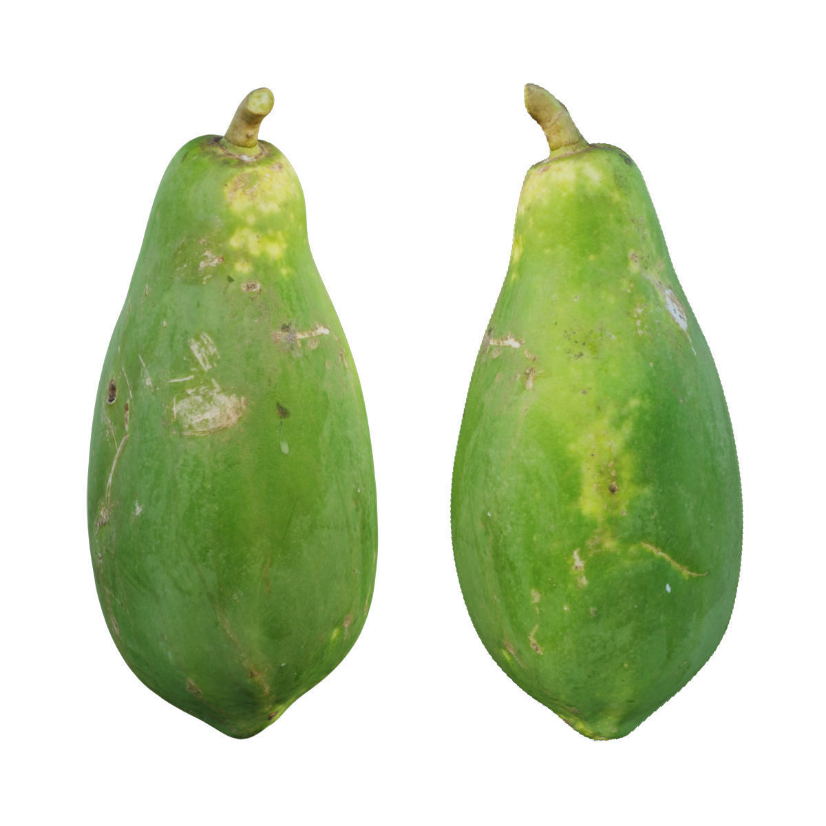 papaya two papayas 3D model_1