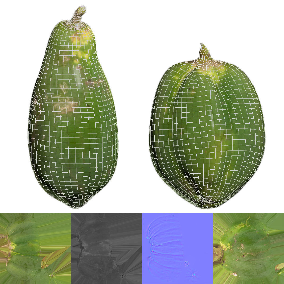 papaya two papayas 3D model_4