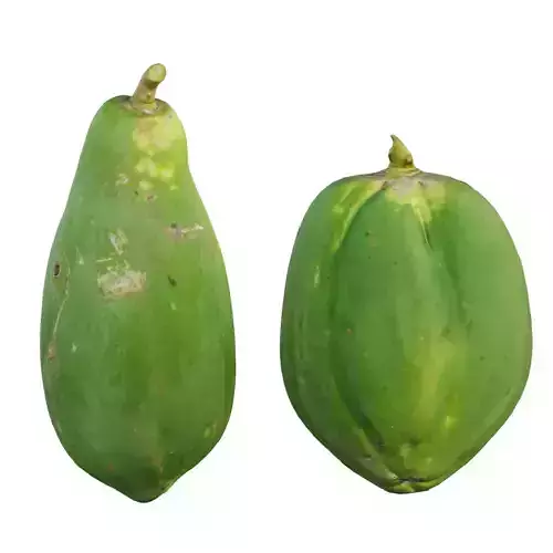 papaya two papayas 3D model