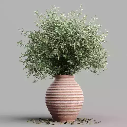 Salix purpurea in clay pot 3D model