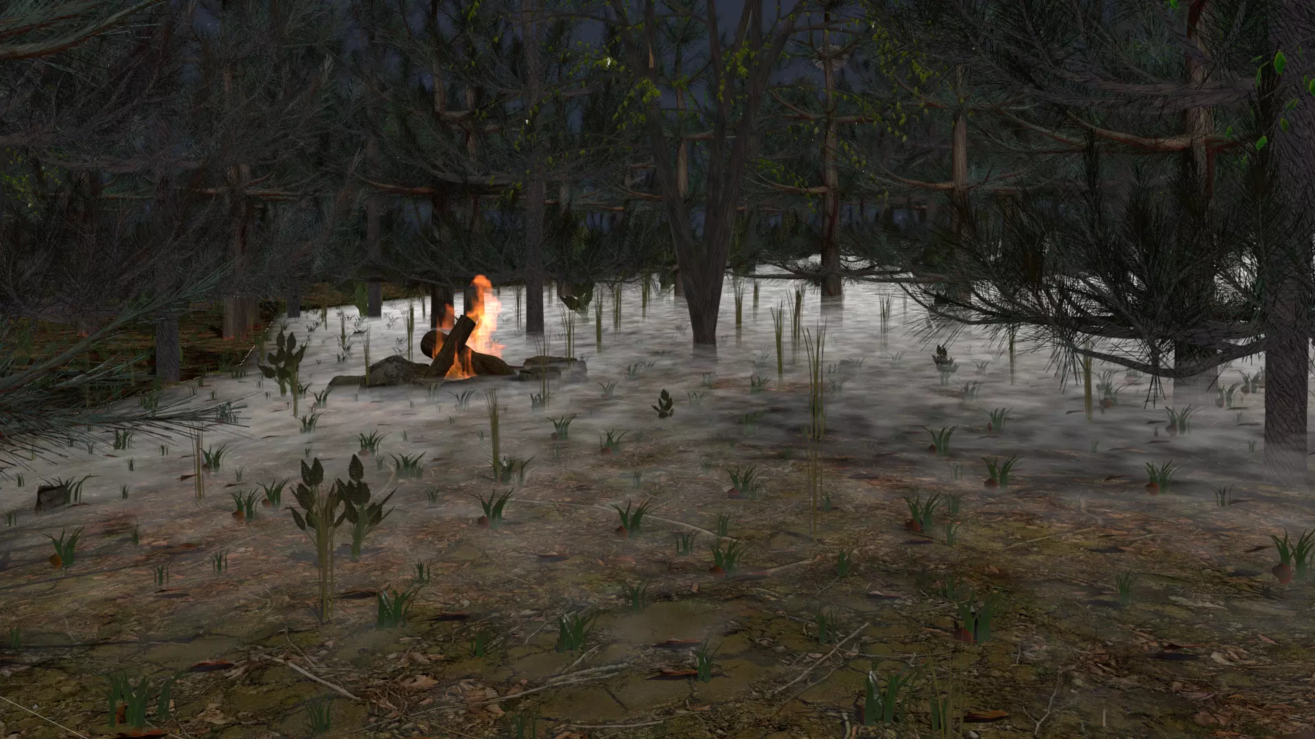Misty Forest With a Campfire Free 3D model