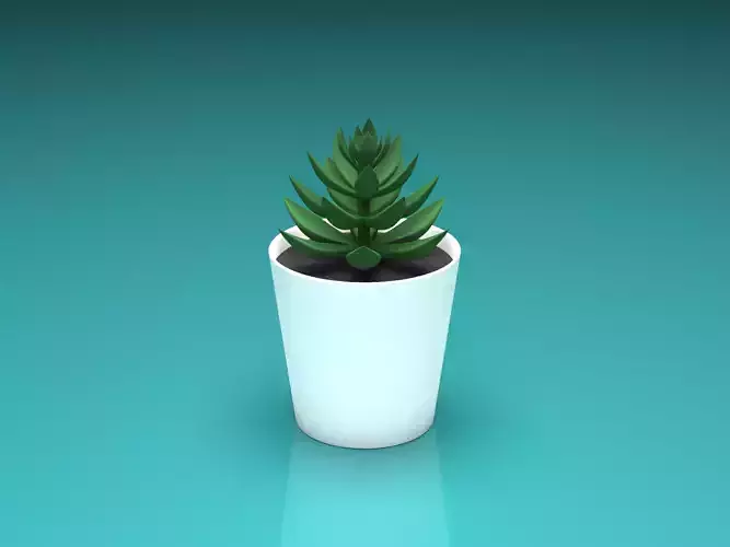 small plant pot