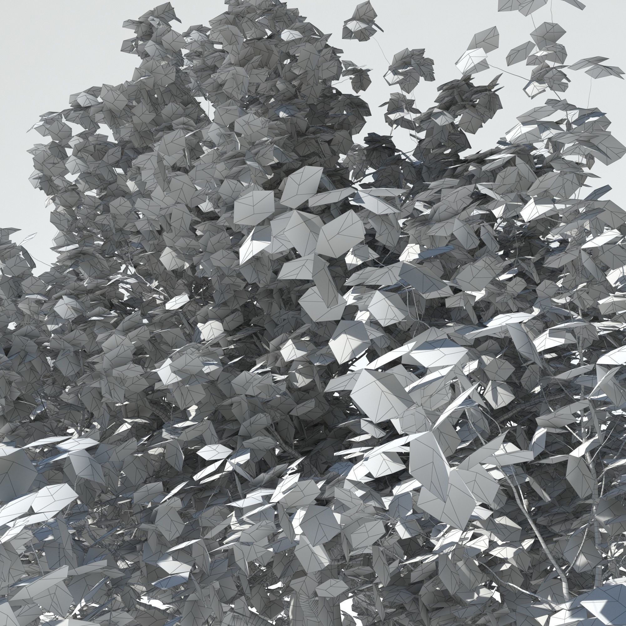 Maple tree 3D model_7