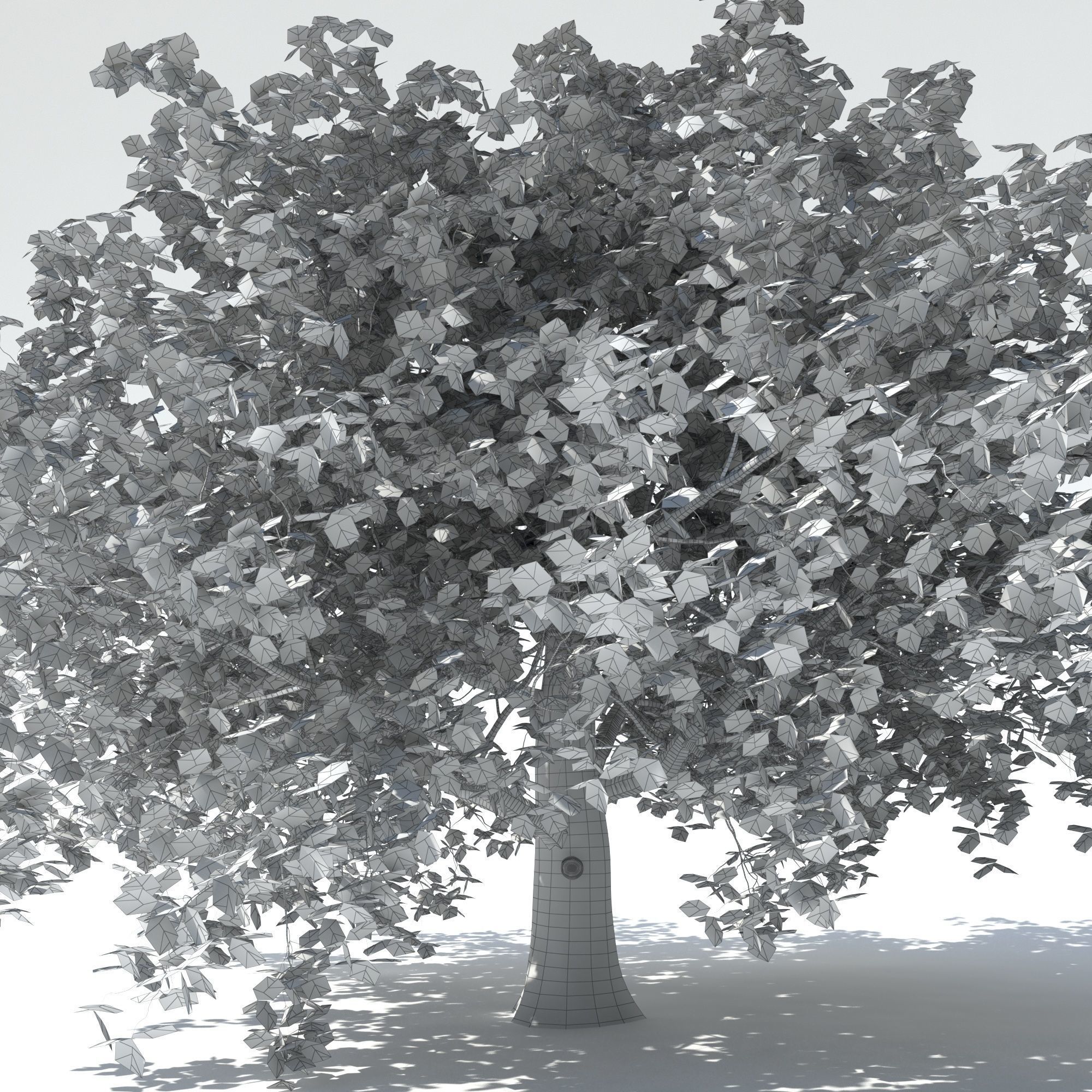Maple tree 3D model_8