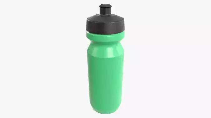 Water Bottle 3D model