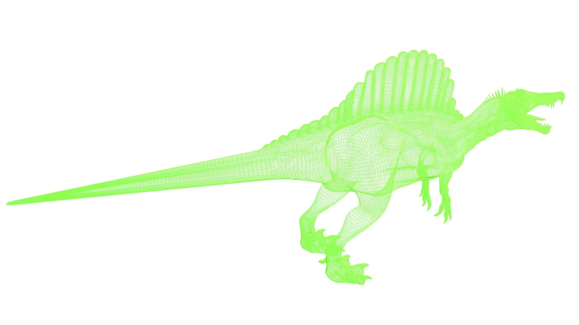 Spinosaurus dinosaur 3D model_6