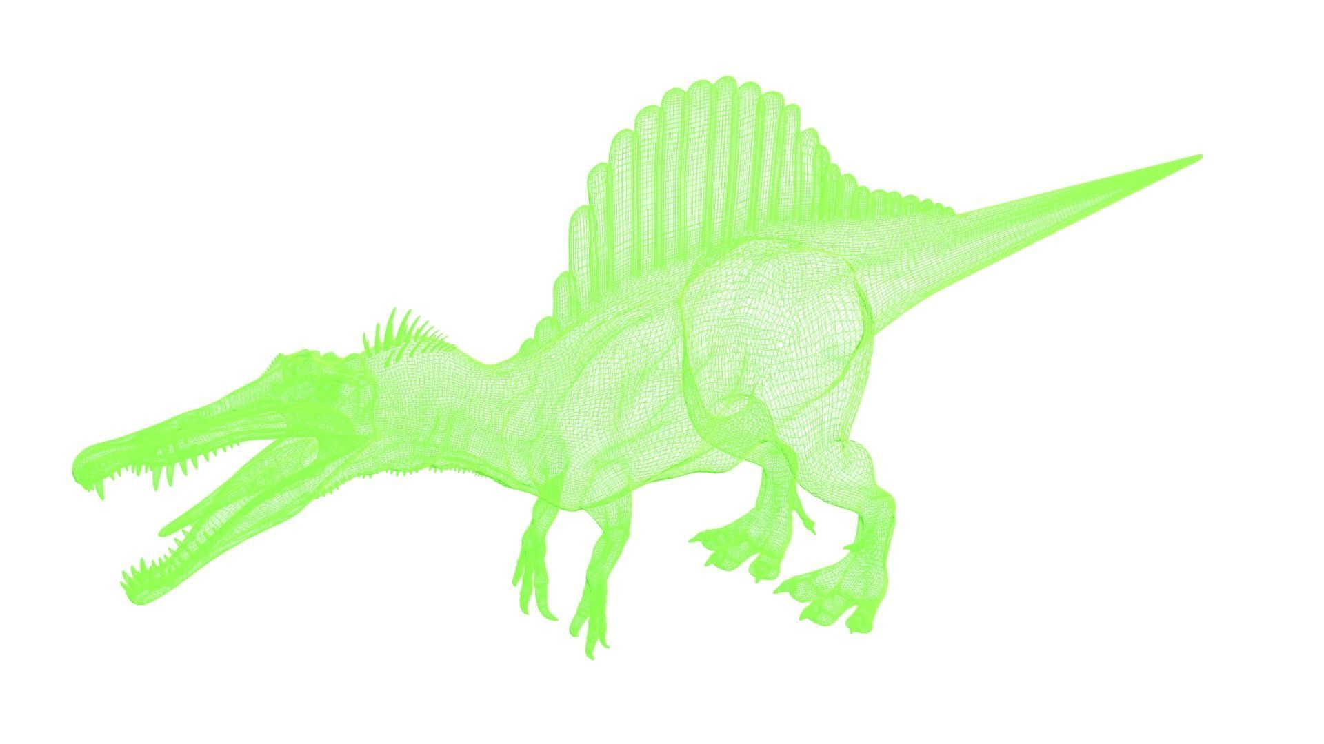 Spinosaurus dinosaur 3D model_4