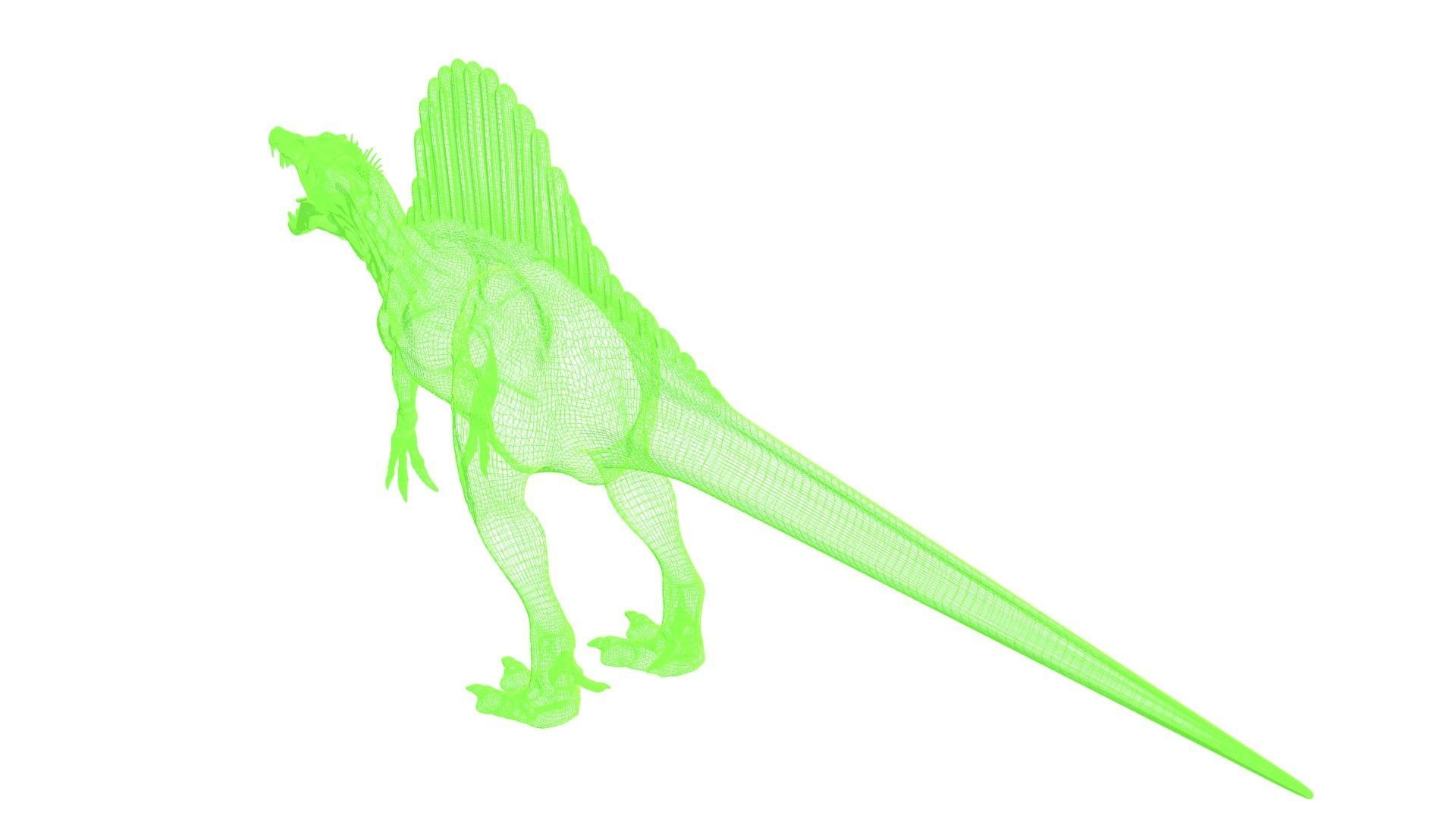 Spinosaurus dinosaur 3D model_7
