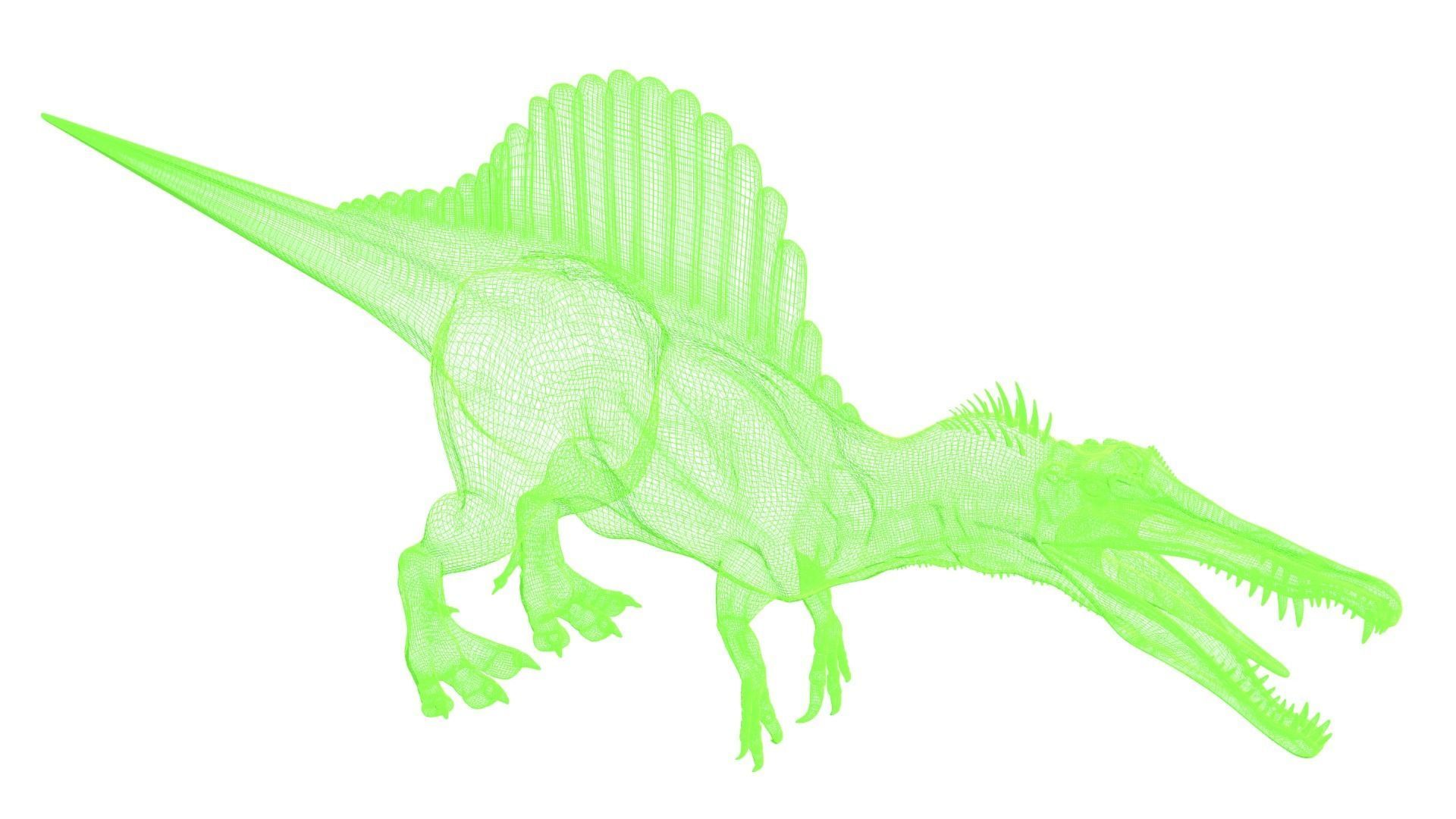 Spinosaurus dinosaur 3D model_5