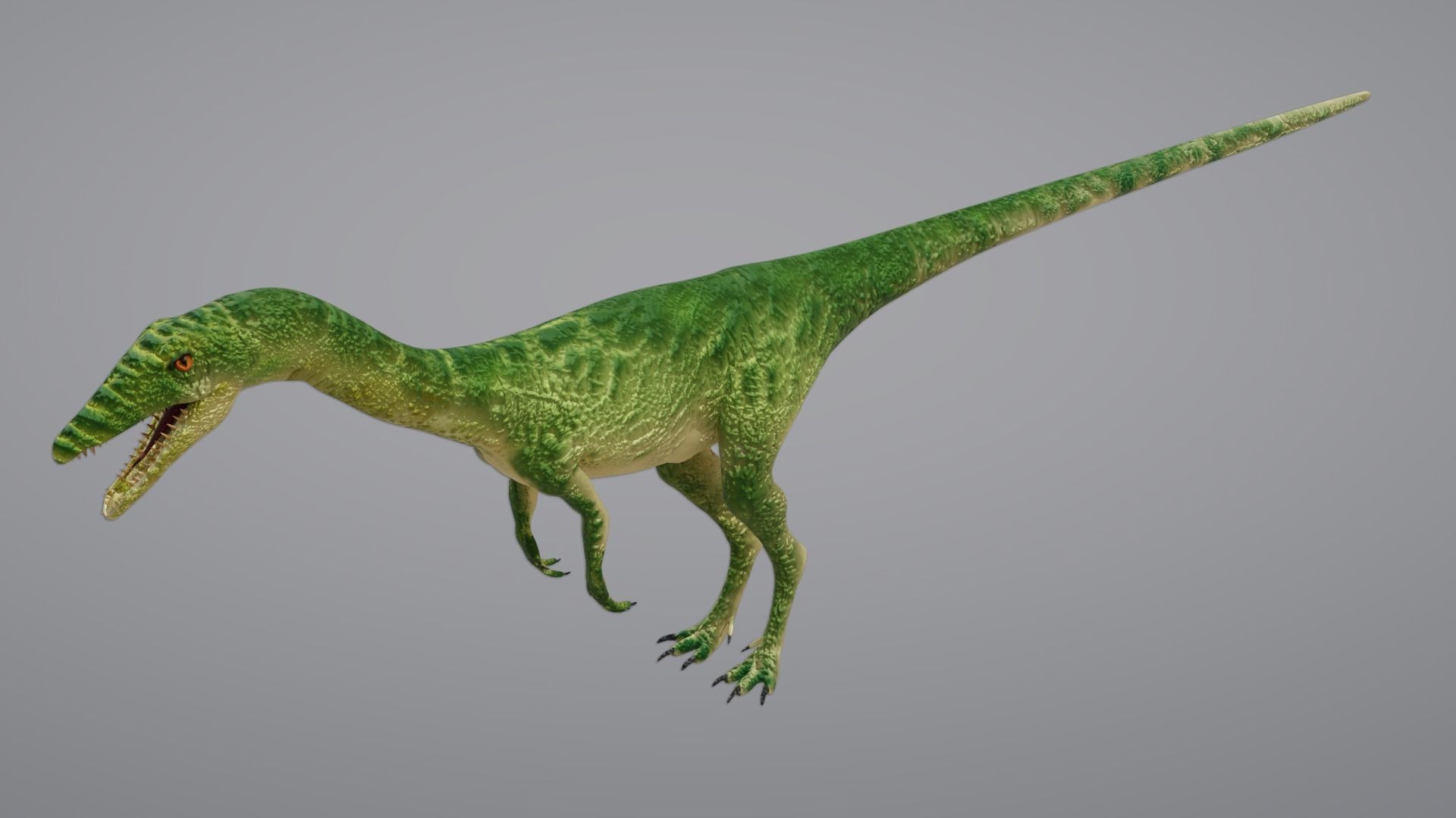 Coelophysis dinosaur 3D model_1