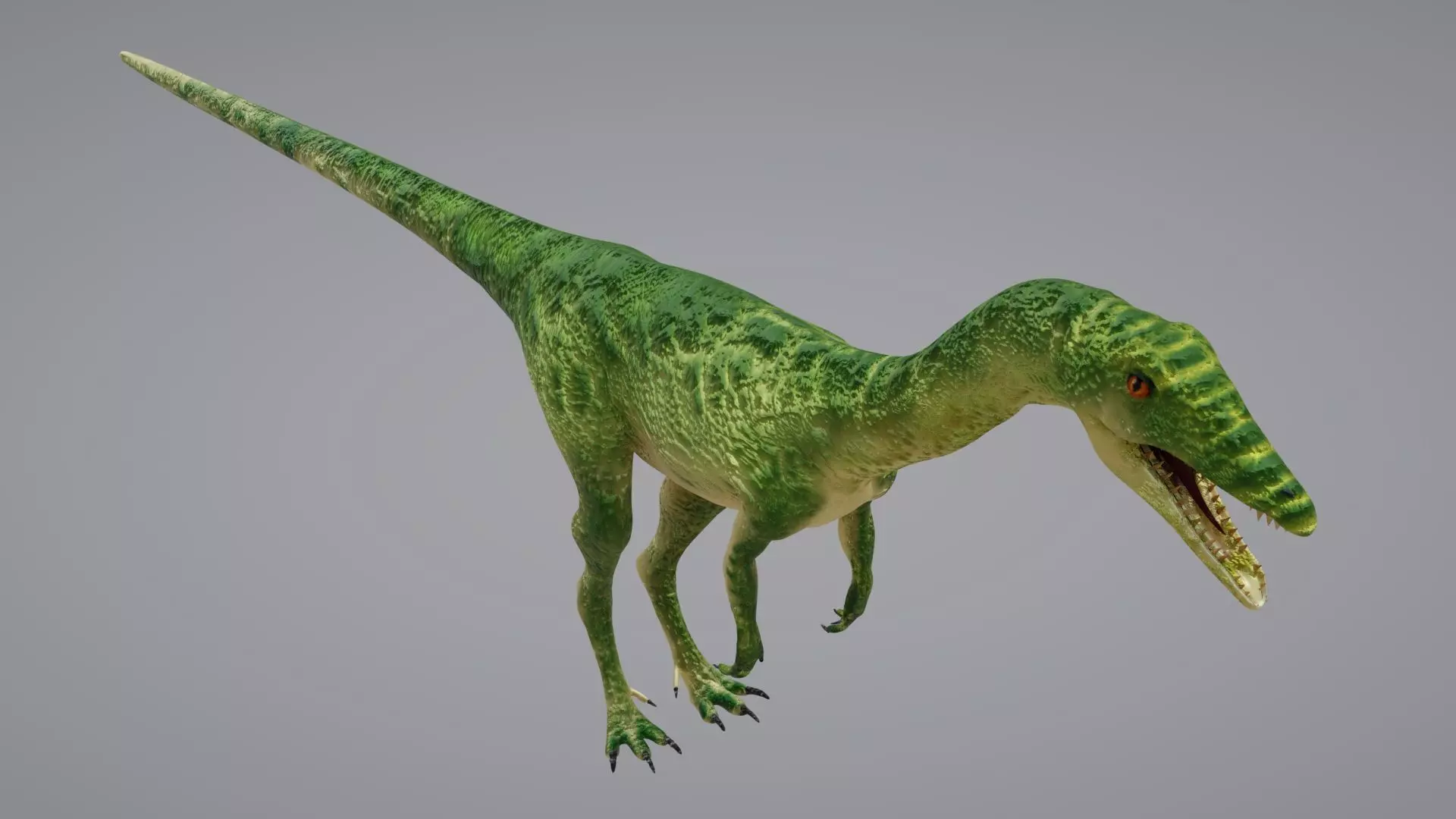 Coelophysis dinosaur 3D model_0