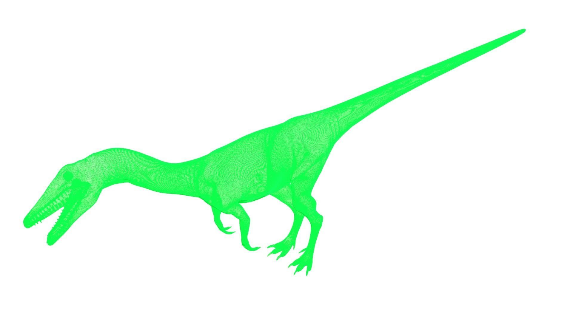 Coelophysis dinosaur 3D model_4