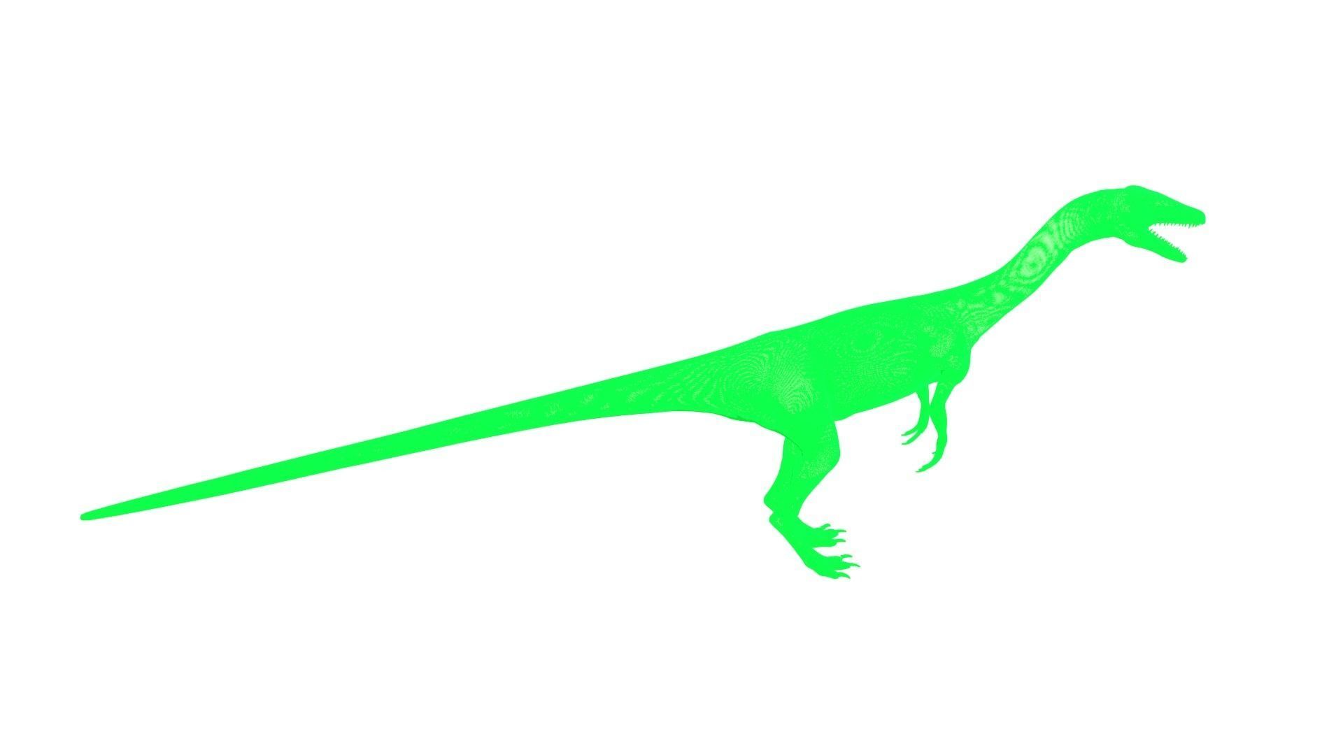 Coelophysis dinosaur 3D model_7
