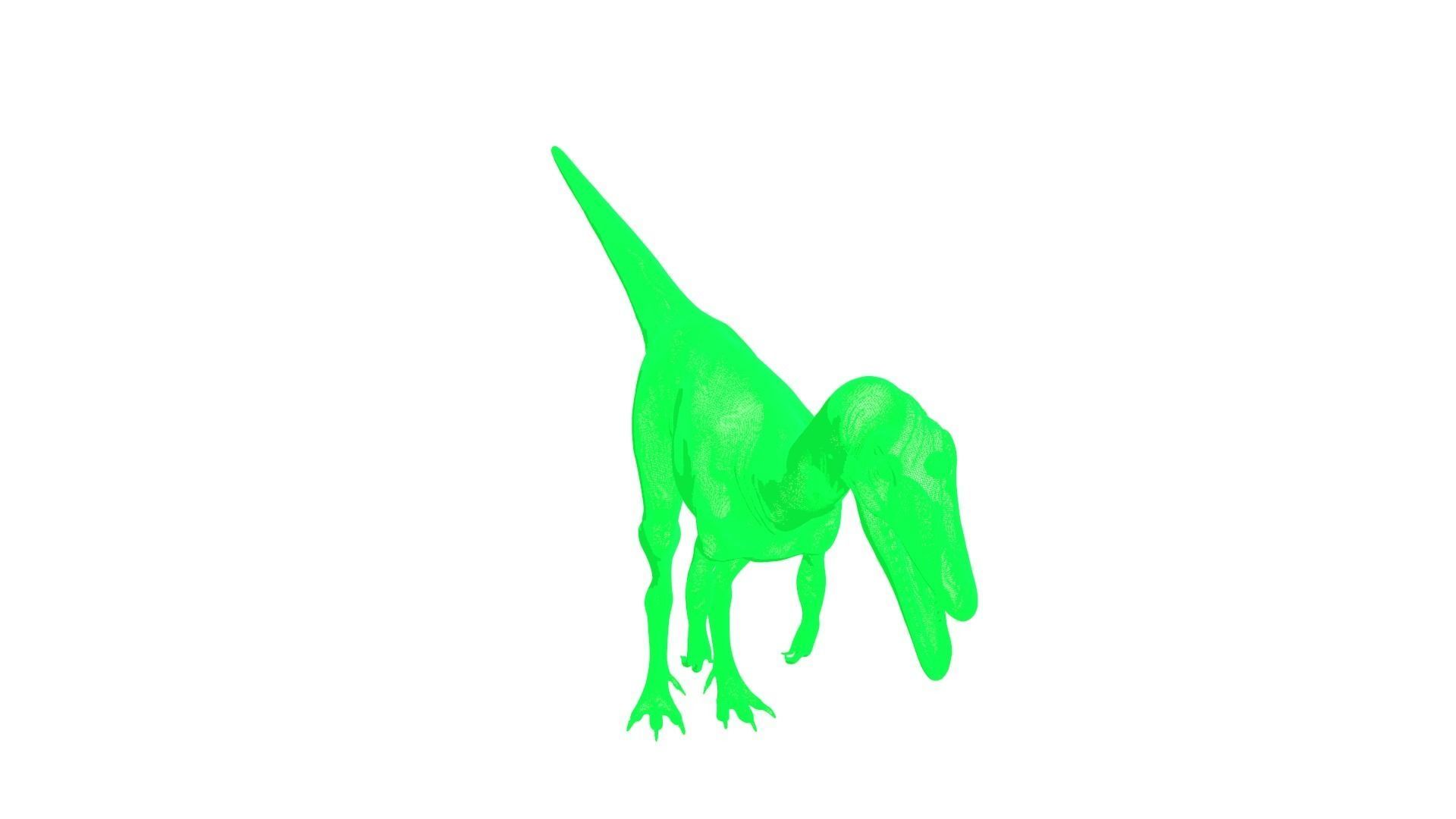 Coelophysis dinosaur 3D model_6